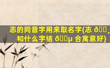 志的同音字用来取名字(志 🕸 和什么字结 🐵 合寓意好)